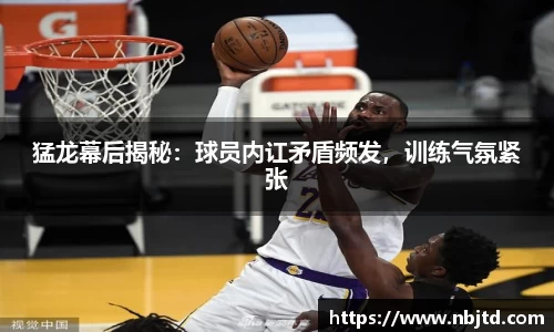 必博BIBO官网
